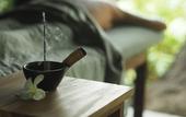 Туры в отель Kaju Green Eco Lodge