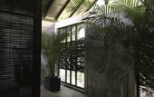 Туры в отель Kaju Green Eco Lodge