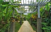 Туры в отель La Berceuse Resort & Villa