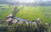 Туры в отель Beehouse Dijiwa Ubud
