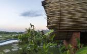 Туры в отель Beehouse Dijiwa Ubud