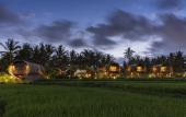 Туры в отель Beehouse Dijiwa Ubud