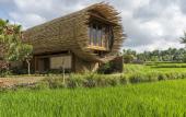 Туры в отель Beehouse Dijiwa Ubud