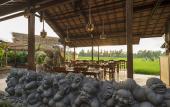 Туры в отель Beehouse Dijiwa Ubud