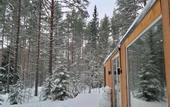 Туры в отель Глэмпинг NewCamp (Эссойла)