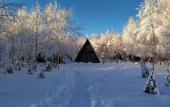 Туры в отель Алино эко-отель (Кузьмищево)