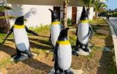 Туры в отель PP Mountain Beach Resort