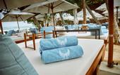 Туры в отель Angel Beach Unawatuna