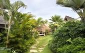 Туры в отель Blue Karma Dijiwa Ubud