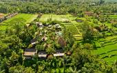 Туры в отель Blue Karma Dijiwa Ubud
