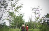 Туры в отель Blue Karma Dijiwa Ubud