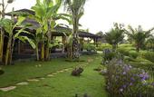 Туры в отель Blue Karma Dijiwa Ubud