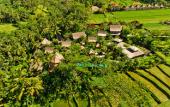Туры в отель Blue Karma Dijiwa Ubud
