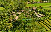 Туры в отель Blue Karma Dijiwa Ubud