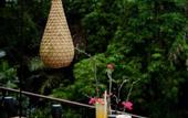 Туры в отель Vije Boutique Resort & Spa