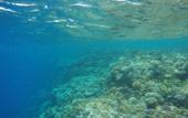 Туры в отель Star Of Dahab