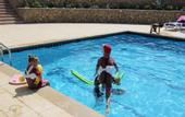 Туры в отель Rivoli Suites