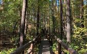 Туры в отель Загородный клуб Пески