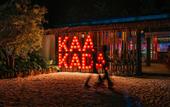 Туры в отель Oaga Art Resort