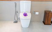 Туры в отель Mayavee Resort & Spa
