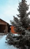 Туры в отель Park Hotel Zaykovo