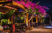 Туры в отель Alion Beach Hotel