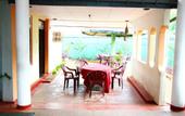 Туры в отель Oasis Ayurveda Resort