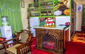 Туры в отель Oasis Ayurveda Resort