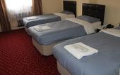 Туры в отель Istanbul Paris Hotel & Hostel