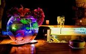Туры в отель Olea Nova Hotel