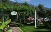 Туры в отель Lagoon Boutique Hotel