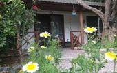 Туры в отель Lagoon Boutique Hotel