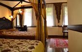 Туры в отель Alp Guesthouse
