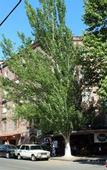 Туры в отель RIS Central Apartments Yerevan