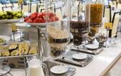 Туры в отель Senia Hotel