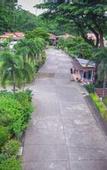 Туры в отель Siray Green Resort