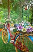 Туры в отель Siray Green Resort