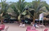 Туры в отель 21 Coconuts Inn Arambol