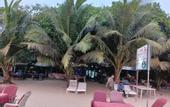 Туры в отель 21 Coconuts Inn Arambol