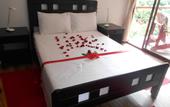 Туры в отель Cashew Nut Grove Chalets