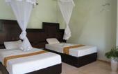 Туры в отель Manidi Villa