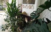 Туры в отель Manidi Villa