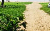 Туры в отель Sea Beach Resort