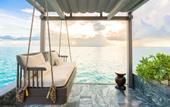 Туры в отель Madifushi Private Island