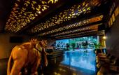 Туры в отель Golden Pearl Tangalle Beach