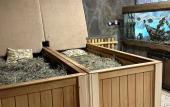 Туры в отель Парк-Отель Березка