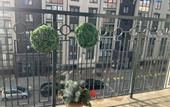 Туры в отель Romantic city apartments