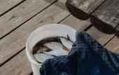 Туры в отель База отдыха Клевое место (с. Затон)