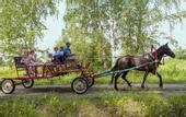 Туры в отель Санаторий Шушенский