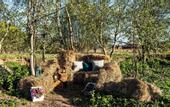 Туры в отель Wish Home Eco-lodge Yahroma